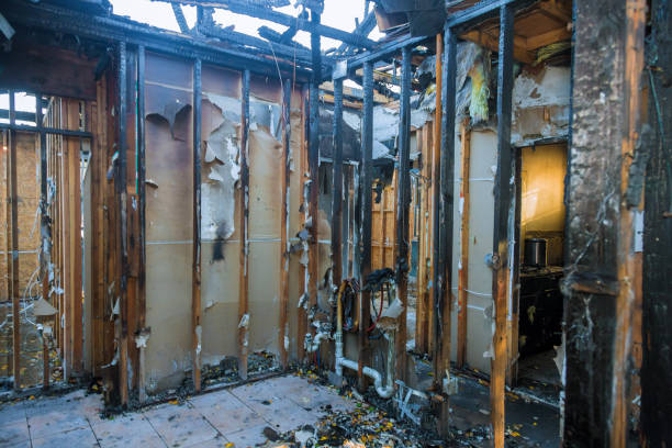 Professional Odor Removal technician working in Champlin, MN