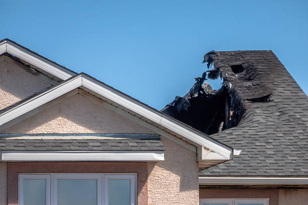 Top rated local Odor Removal specialists in Champlin, MN